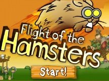 Latające Chomiki - Flight Of The Hamsters